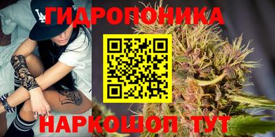 амф Кандалакша