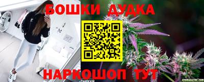 амф Кандалакша